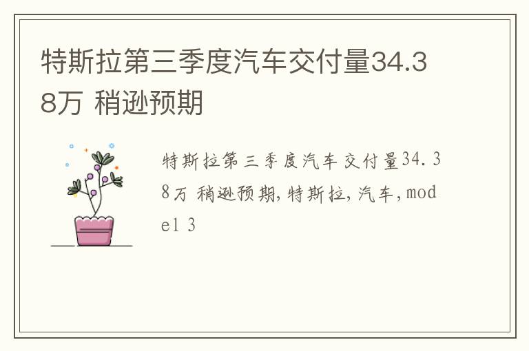 特斯拉第三季度汽车交付量34.38万 稍逊预期