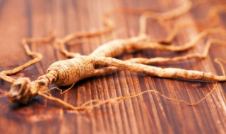 新鲜人参煲汤可以吗 人参可以煲汤吗