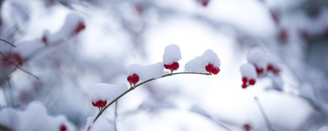 什么节气最冷 最冷的节气