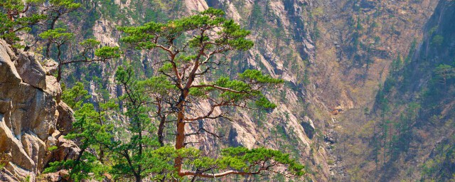 三山是指哪三山呢 三山的含义