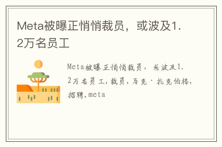 Meta被曝正悄悄裁员，或波及1.2万名员工