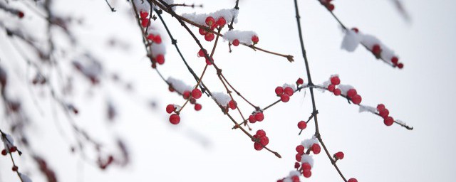 11月什么节气 11月有哪些节气