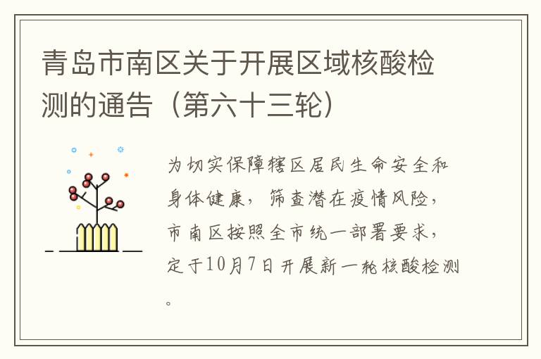 青岛市南区关于开展区域核酸检测的通告（第六十三轮）