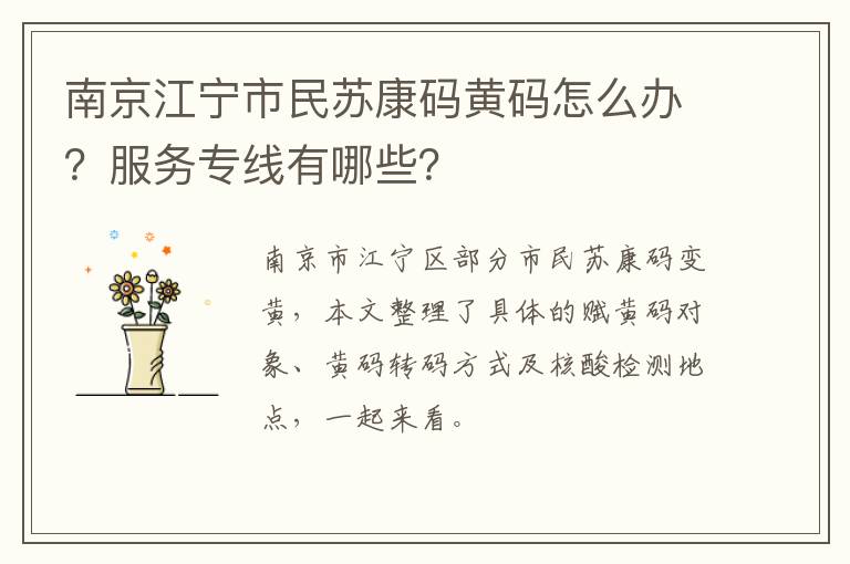 南京江宁市民苏康码黄码怎么办？服务专线有哪些？