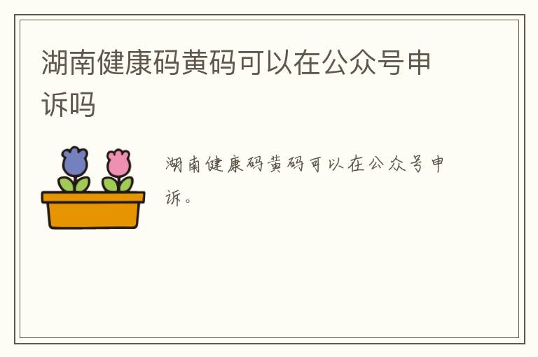 湖南健康码黄码可以在公众号申诉吗