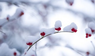 冬季上火要注意什么东西 冬季上火的注意事项