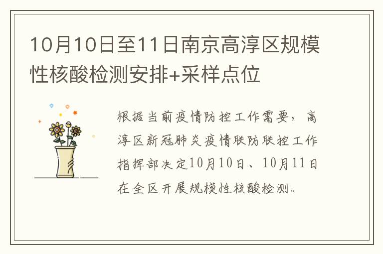 10月10日至11日南京高淳区规模性核酸检测安排+采样点位