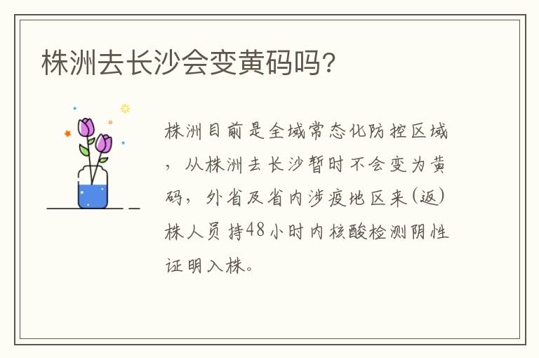 株洲去长沙会变黄码吗?