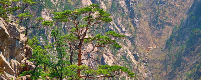 山水岩壁画的介绍和特点 山水岩壁画是怎么形成的