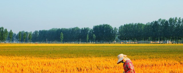 农民学习有什么好处 农民学习有哪些好处