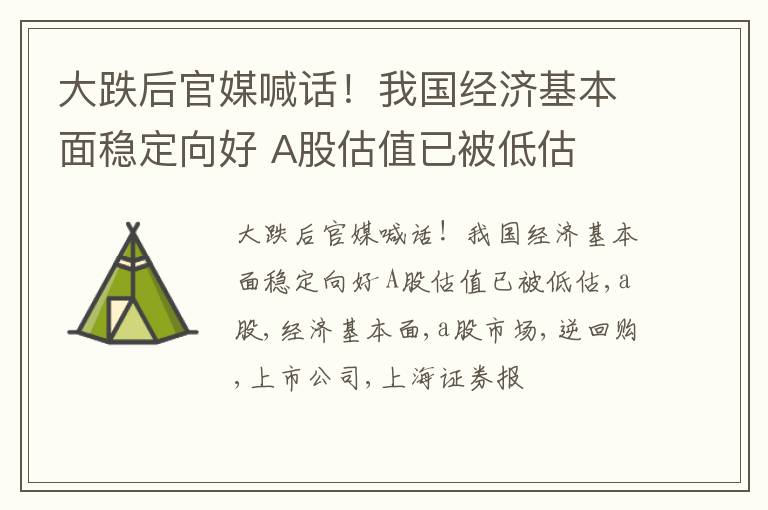 大跌后官媒喊话！我国经济基本面稳定向好 A股估值已被低估