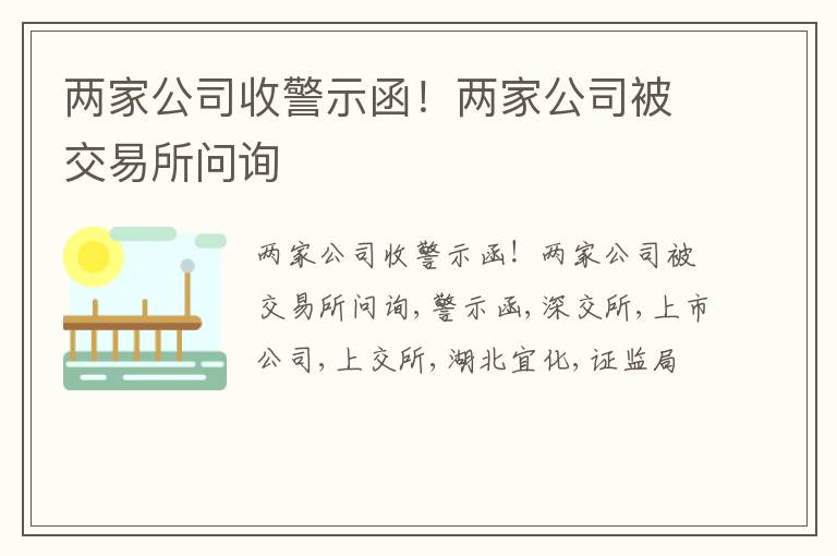 两家公司收警示函！两家公司被交易所问询