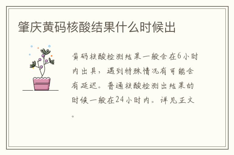 肇庆黄码核酸结果什么时候出