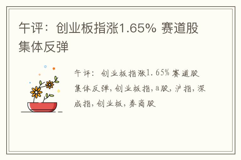 午评：创业板指涨1.65% 赛道股集体反弹