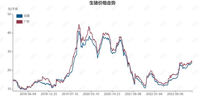 “二师兄”又成主角，C位会站多久？