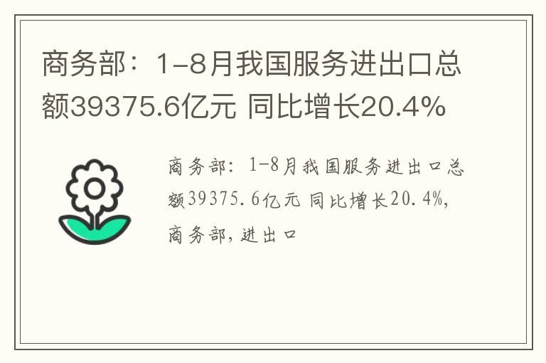 商务部：1-8月我国服务进出口总额39375.6亿元 同比增长20.4%