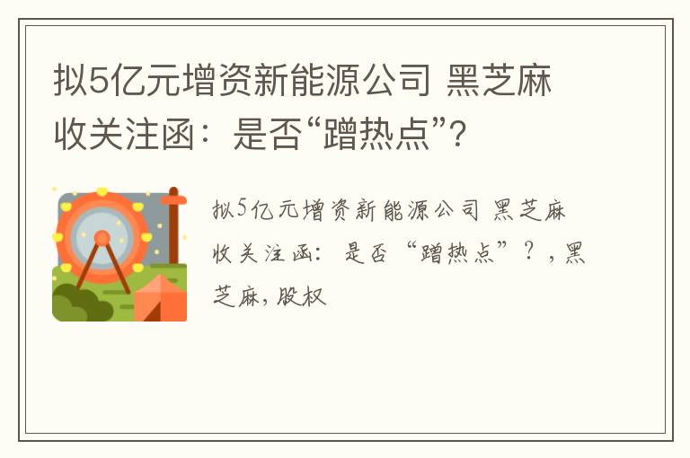 拟5亿元增资新能源公司 黑芝麻收关注函：是否“蹭热点”？