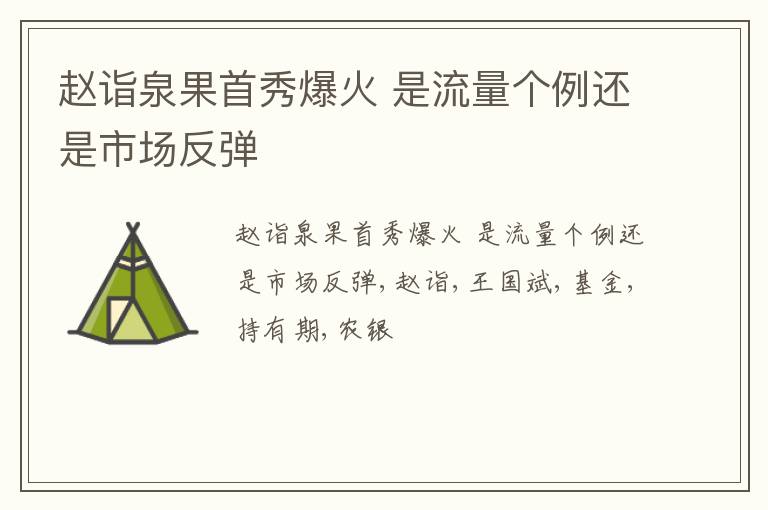 赵诣泉果首秀爆火 是流量个例还是市场反弹