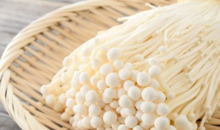 金针菇的营养成分有哪些 金针菇的营养成分有什么