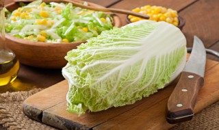 黄芽菜是什么菜 什么是黄芽菜