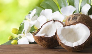 椰子不可以跟什么一起吃 椰子的功效和作用