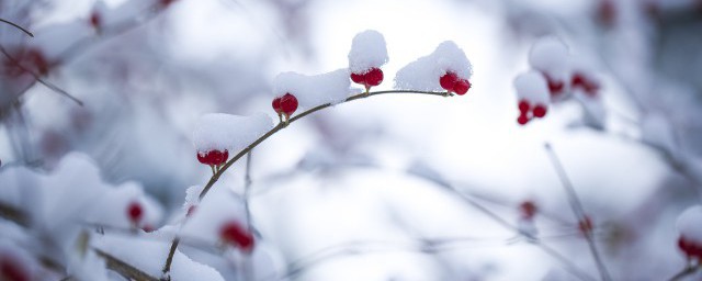 大雪节气祝福语简短 大雪节气经典祝福语简短