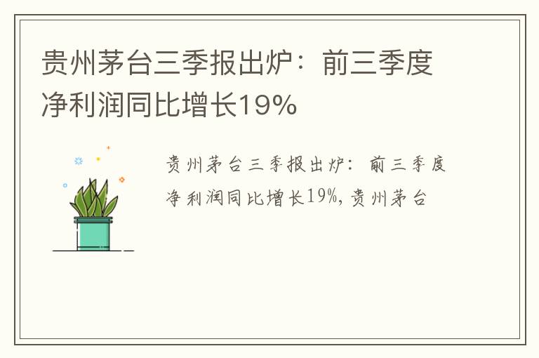 贵州茅台三季报出炉：前三季度净利润同比增长19%