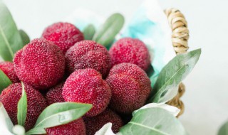 杨梅先洗再冷冻还是先冷冻吃再洗 杨梅如何处理