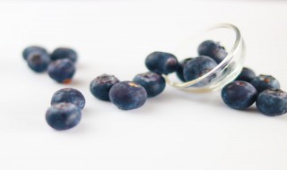 蓝莓越小花青素越多吗 蓝莓越小花青素是不是越多
