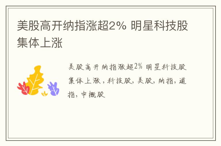 美股高开纳指涨超2% 明星科技股集体上涨