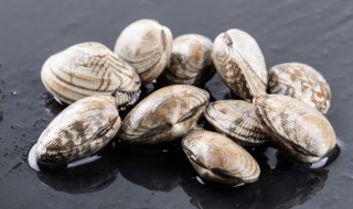 花甲吃着有沙子正常吗 花甲吃着有沙子是否正常