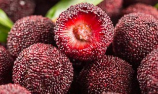 吃杨梅核能帮助消化吗 吃杨梅核可以帮助消化吗