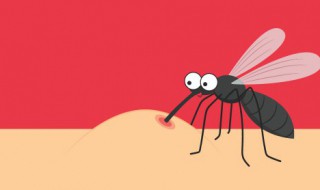 驱蚊手环可以在室内用吗 驱蚊手环能在室内用吗