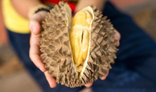 榴莲有一点酒味还能吃吗 榴莲有一点酒味是否还能吃