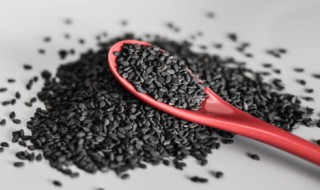 黑芝麻粉怎么吃效果最佳 黑芝麻粉如何吃效果最佳