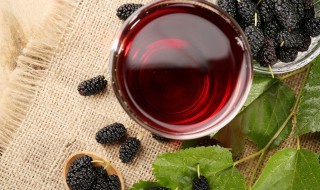 桑葚干可以直接嚼着吃吗 桑葚干的功效