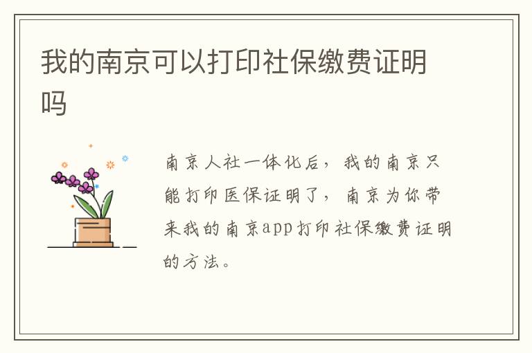 我的南京可以打印社保缴费证明吗