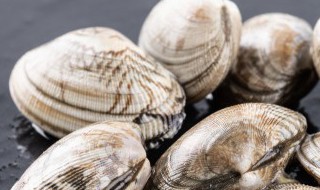 花甲里面有沙子吃了会结石吗 吃了花甲里的沙子会不会得结石