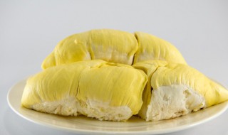 榴莲肉硬放一晚上能熟吗 榴莲肉硬放一晚上可不可以熟