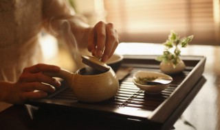 莓茶是新茶好还是陈茶好 莓茶是新茶还是陈茶更好呢