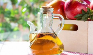 喝苹果醋有什么好处和坏处 喝苹果醋有哪些好处和坏处
