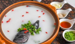 黑鱼汤的营养价值及功效与作用 黑鱼汤有哪些营养价值及功效与作用