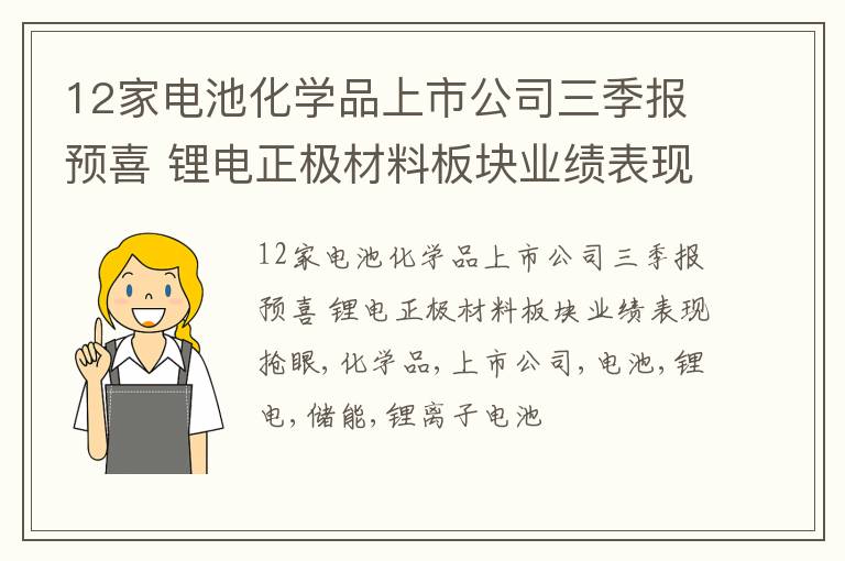 12家电池化学品上市公司三季报预喜 锂电正极材料板块业绩表现抢眼