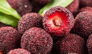 冰冻杨梅怎么吃比较好 冰冻杨梅如何吃比较好