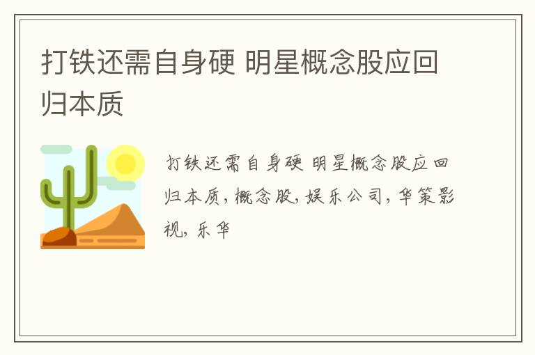 打铁还需自身硬 明星概念股应回归本质