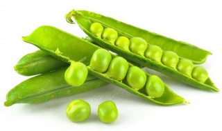 青豆的营养价值及功效禁忌 青豆有哪些营养价值及食用禁忌