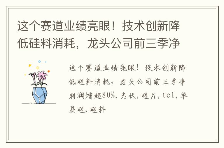 这个赛道业绩亮眼！技术创新降低硅料消耗，龙头公司前三季净利润增超80%