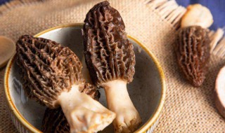 羊肚菌一次吃多少合适 羊肚菌一次吃多少比较好