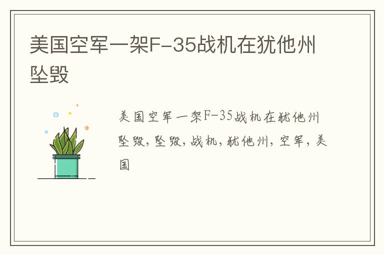 美国空军一架F-35战机在犹他州坠毁