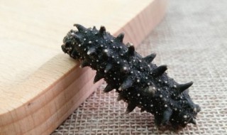 海参一次吃多少量合适 海参一次可以吃多少呢